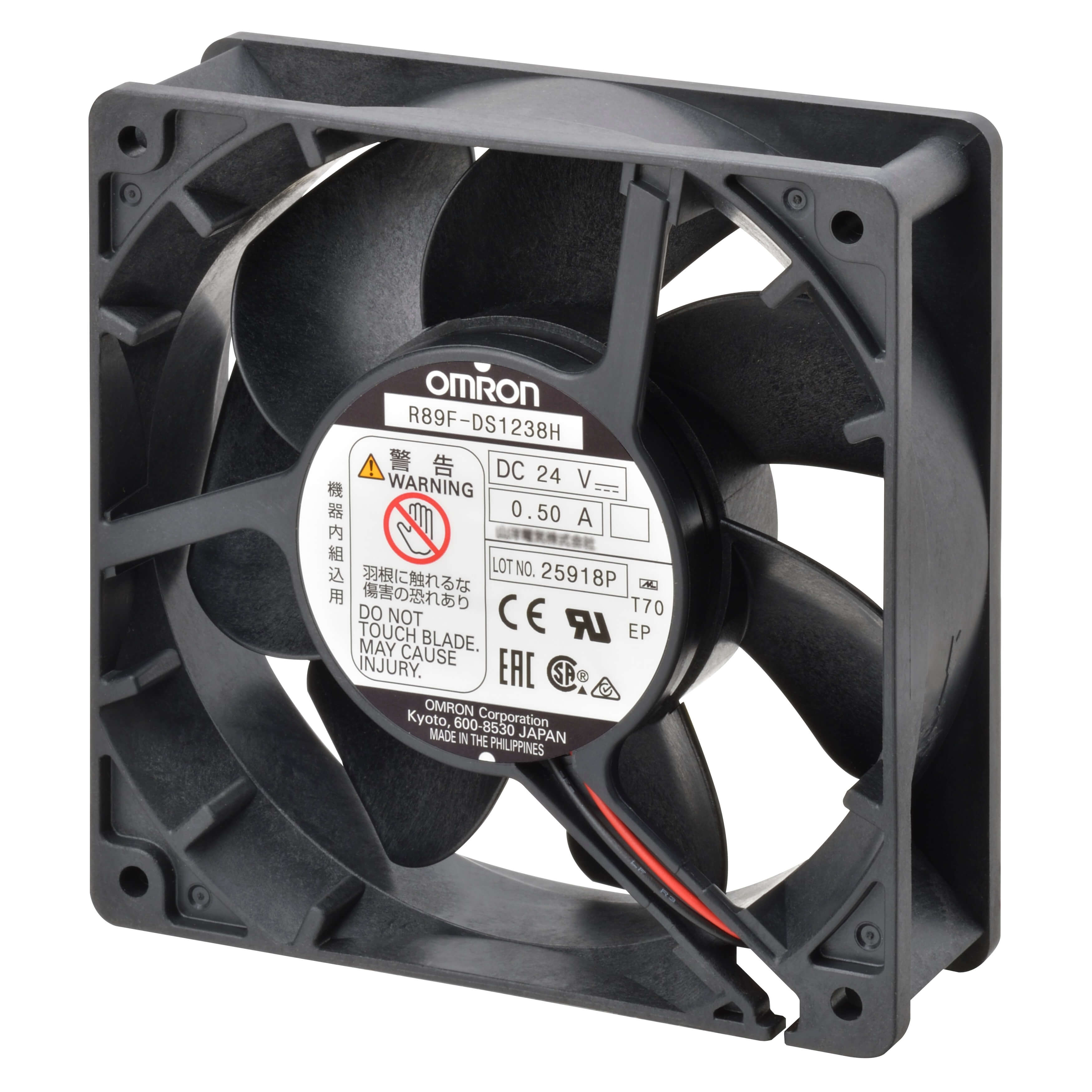 R89F-DS1238H